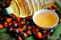 棕榈油期货是什么？影响棕榈油价格