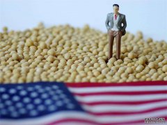 期货分析：美豆“溢价”带来的风险