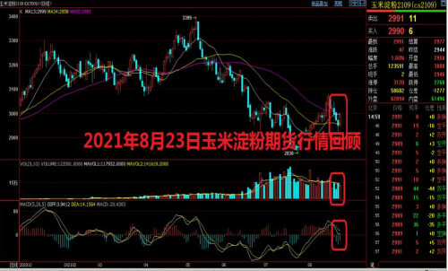 玉米淀粉期货怎么买?玉米淀粉期货日