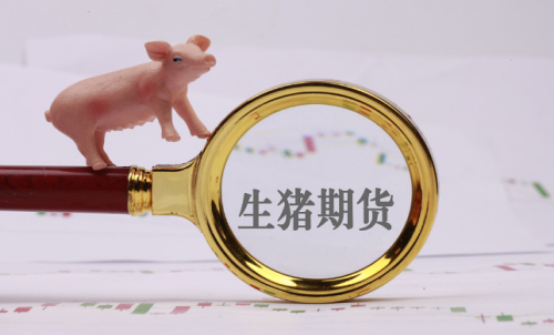 生猪期货晚上能交易吗?手续费是多少